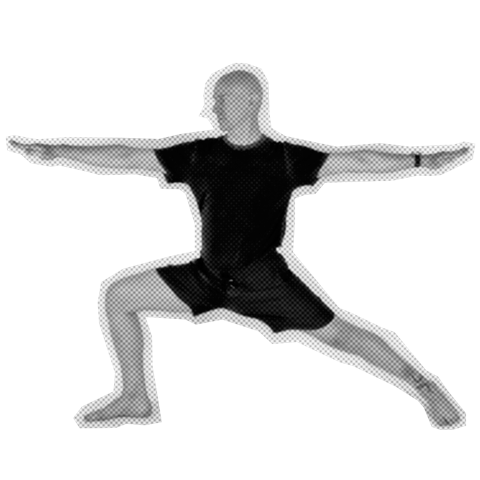 Yoga and Strength - Eddie Stern
